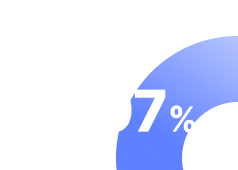 97% IP Enforcement Success Rate